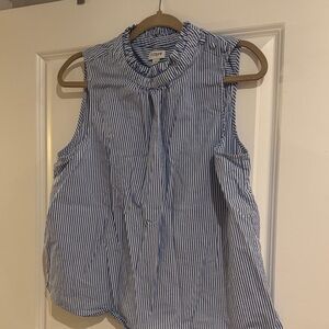 J. Crew Sleeveless Blue and White Striped Blouse